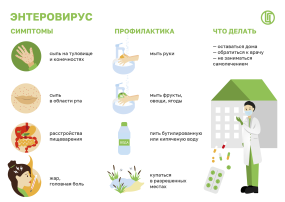 Профилактика энтеровирусной инфекции Профилактика энтеровирусной инфекции.