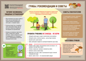 Меры предосторожности при употреблении грибов Меры предосторожности при употреблении грибов .