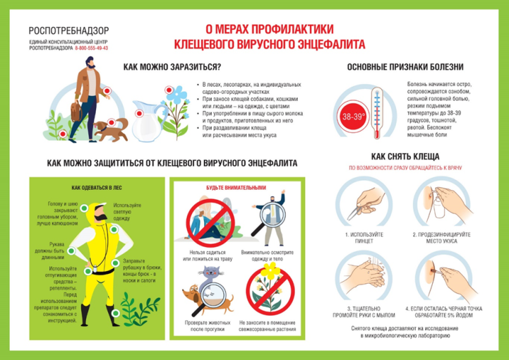 "Осторожно! Клещи!" "Осторожно! Клещи!".