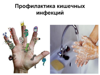 О профилактике кишечных инфекций летом О профилактике кишечных инфекций летом.